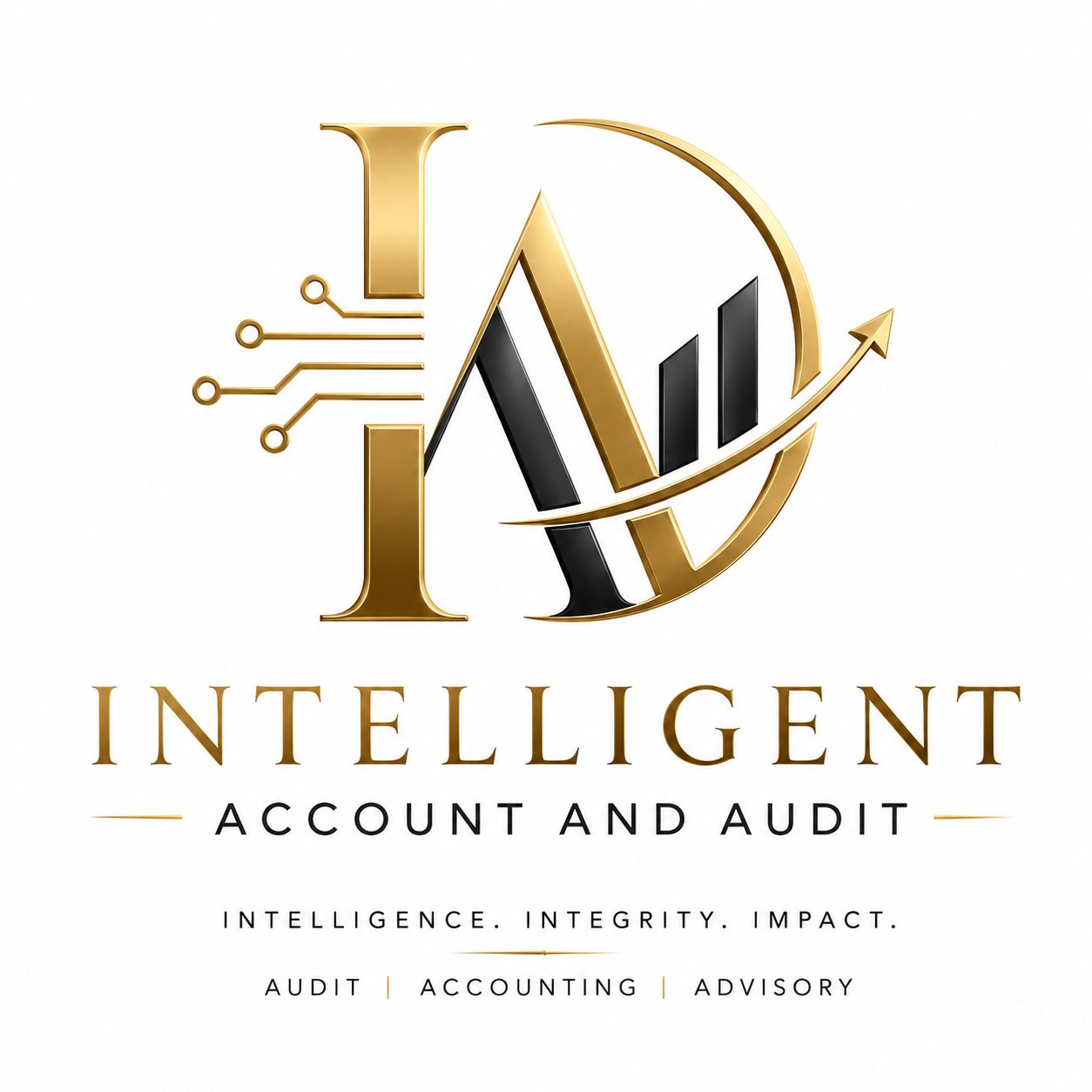 Intelligent Account and Audit